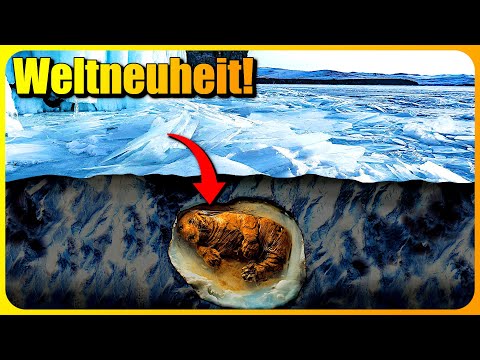 WELTNEUHEIT im sibirischen Eis entdeckt! Was wurde ausgegraben?