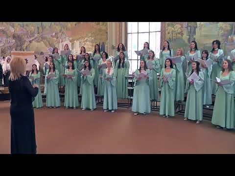 Gheorghe DANGA  Sârba pe loc