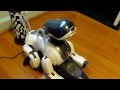 Cute and Smart Sony Robot Dog Aibo ERS-7.MP4 ...