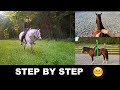HOW TO RIDE A HORSE FOR BEGINNERS STEP BY STEP