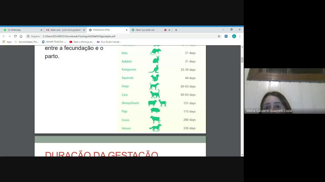Fisiologia da Gestação