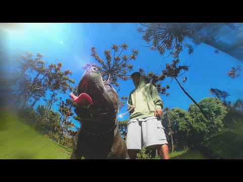 Fazzini - Pura Esencia (Full Álbum)