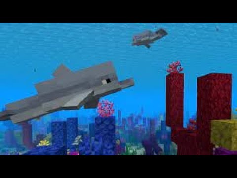 ShadKnight - Dolphin Minecraft Mob LORE #Shorts (bot)