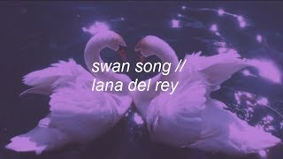 swan song || lana del rey lyrics