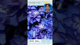 【空のあとがき】岡本キャスターが気になったリポートは？6月15日 #通勤タイパ #岡本結子リサ