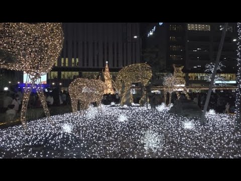 YouTube Video 静岡・藤枝駅周辺のをおよそ４３万球のＬＥＤ電球で装飾　イルミネーションの点灯式