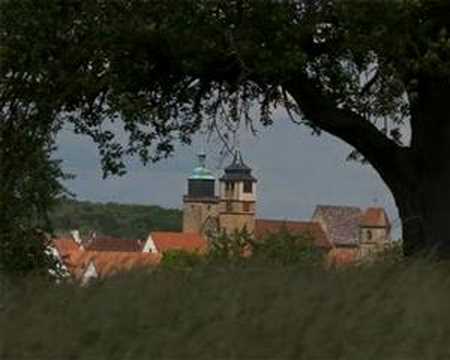 Kräuterwanderung NABU Markgröningen 28.5.2006