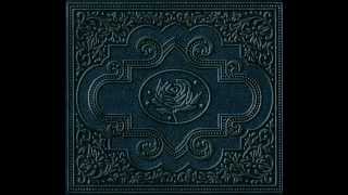 Ryan Adams - How Do You Keep Love Alive