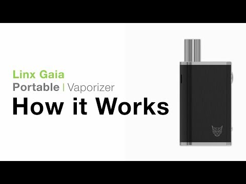 Linx Gaia Review & How-To