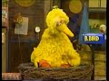 Sesame Street Learning About Numbers