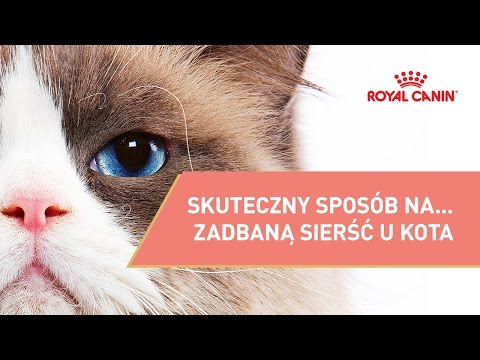Co maska do włosów może być stosowany w okresie ciąży Medyczny olej włosy