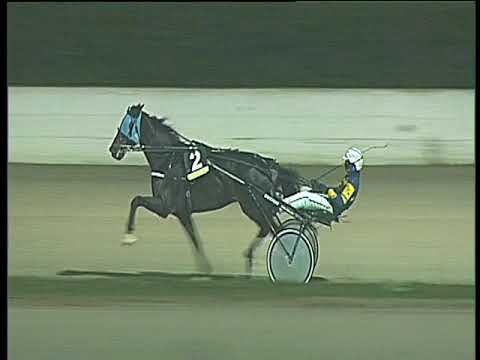 Trotto 03/12/2017 - 8ª corsa - TRIS