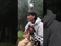 GUZARISH Short Cover