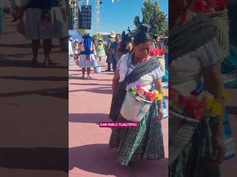 Fiesta en la Mixteca: San Pablo Tijaltepec, Oaxaca #viral #oaxaca #baile
