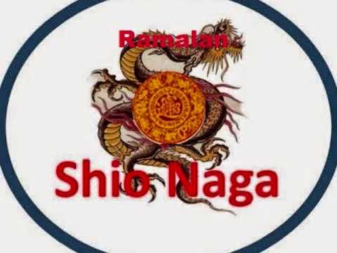 download lagu mp3 mp4 Shio Naga Di Tahun 2018, download lagu Shio Naga Di Tahun 2018 gratis, unduh video klip Download Shio Naga Di Tahun 2018 Mp3 dan Mp4 Popular Gratis