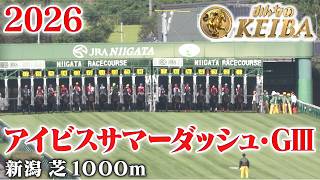 【アイビスサマーダッシュ・GⅢ】アイビスSD 新潟 芝 1000m 2026 レース  【みんなのKEIBA】