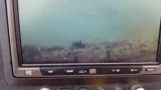 Подводная камера jj-connect underwater camera color