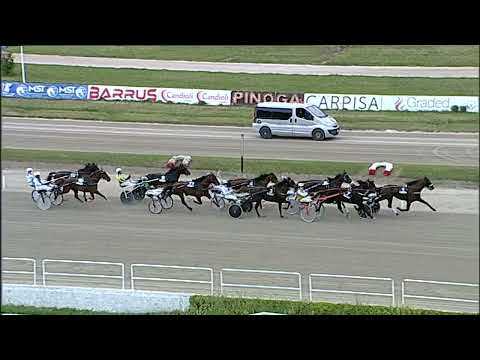 Napoli Trotto 29/04/2023 - 7ª corsa