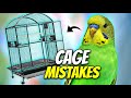 You Re Setting Up Your Bird Cage All Wrong