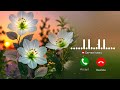 Best Ringtone 2026 Hindi Ringtone New Song Ringtone Mobile Phone Ringtone Love Ringtone New Ringtone