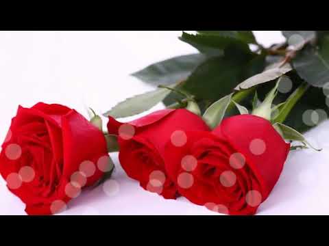 Maria Elena's Birthday