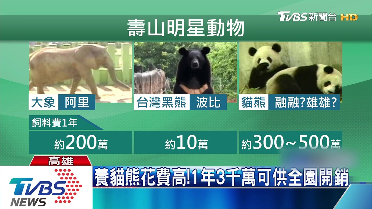 高雄貓熊養在這! 壽山:園內3頃地規劃中