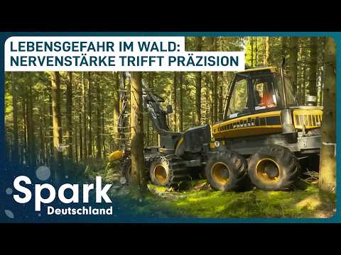 Adrenalin pur: Die gefährlichsten Berufe | Doku