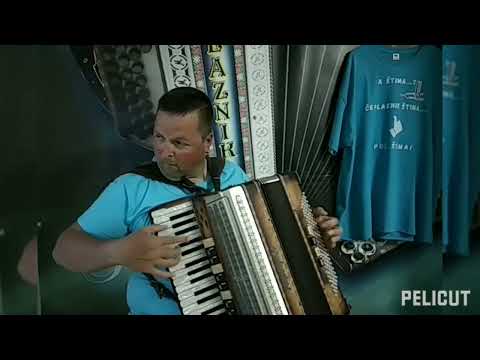 ALPENGOLD 4120M-PLAZNIK STIMA