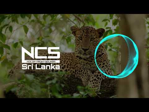 Wilpattuwe Wilapaya - NCS SRI LANKA