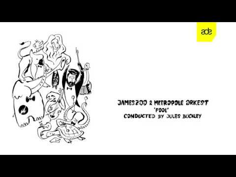 Metropole Orkest & Jameszoo - Flu (rehearsal footage)