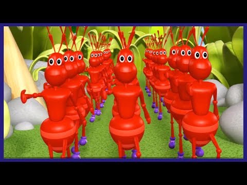 The Ants Go Marching One by One Song | Rhyme4Kids