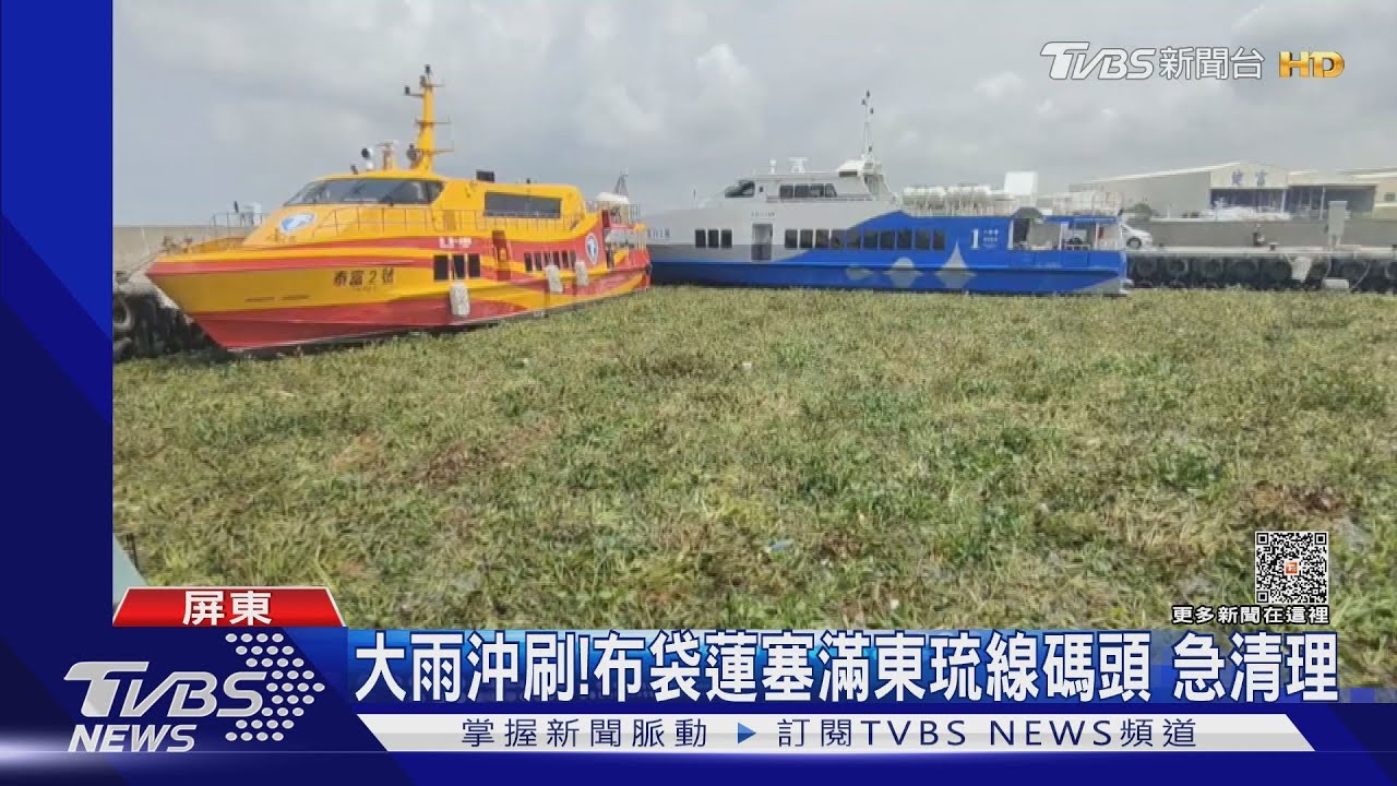 大雨過後!東琉碼頭滿溢布袋蓮恐阻通行 縣府急派工清除