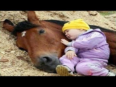 , title : 'El momento más divertido entre bebés y caballo #2 🐴 Gracioso Bebé y Mascota'