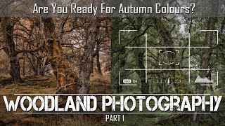 Woodland Photography - Are You Ready For Autumn Colours? Part 1