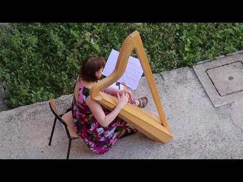 Highlights del Festival internazionale - Urbino Musica Antica