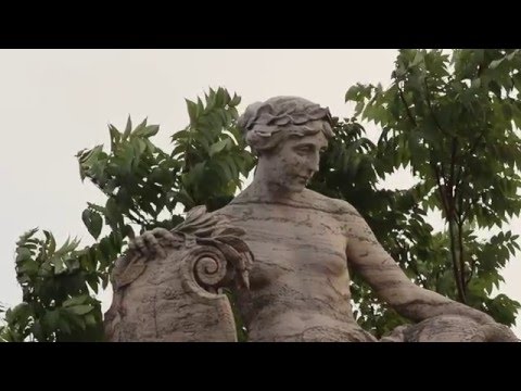 Black Zheep DZ - "Guala"