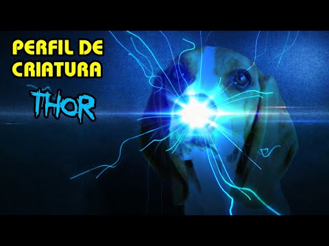 SCP GRUPO DE INTERES. PERFIL DE CRIATURA: ¡THOR!
