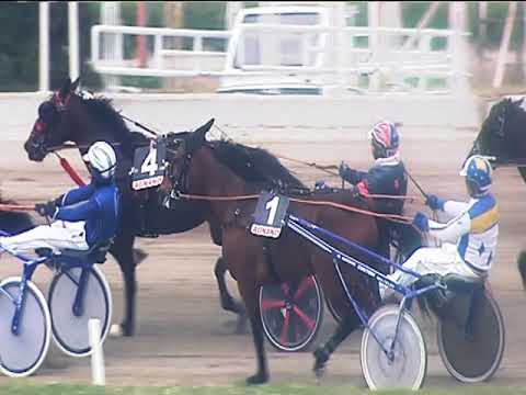 Trotto 22/04/2019 - 2ª corsa