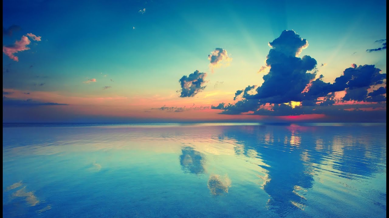 Plexus Software Demo Video