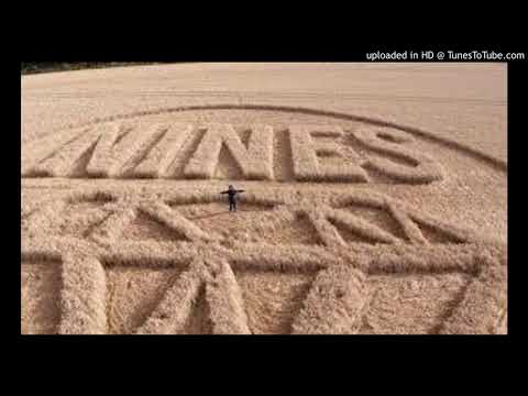 14. Line of Fire Pt. 5 (feat. Likkle T, Fatz, Storm, Fundz & Streetz) 1