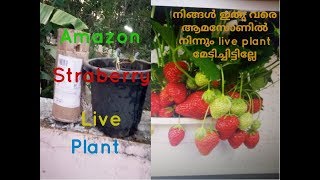 AMAZON UNBOXING LIVE PLANT/Raji'sTips
