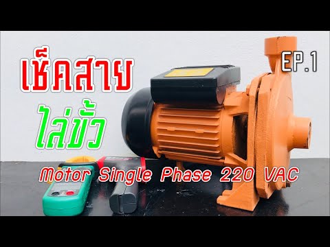 มันเป็นความจริงว่านักกีฬากระเจี๊ยวขนาดเล็ก มดลูกของผู้หญิงตื่นเต้นของ