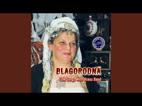 Ajde, Ajde Mili Sine Oženi Se