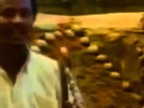 TIGRIGNA MUSIC NEW Anbesa Tekle