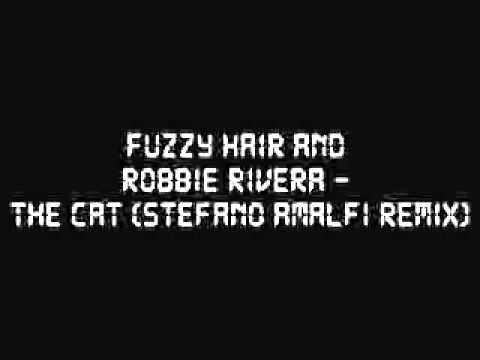 Fuzzy Hair & Robbie Rivera - Cat (Stefano Amalfi remix)