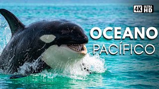 OCEANO PACÍFICO: O Lado Oculto das Criaturas Mais Extraordinárias dos Mares | Documentário Completo