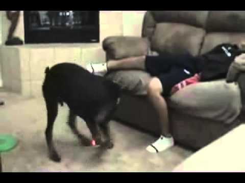 Bhupendra rajguru odwara