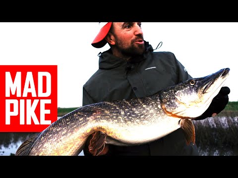Insane Pike fishing action: 5x meter+ fish in one day. 100 Big Pike Challenge. Part 18