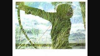 Marc Johnson - Resolution