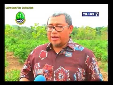 Bagaimana untuk tumbuh tanpa anggota operasi Patogen perempuan di apotek berapa biaya